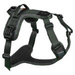 Non-stop Dogwear Ramble Valjaat