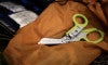 lifestyle_0002_raptor-2