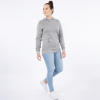 north-outdoor-allday-260-w-hoodie-light-grey-pose-front-fw20-n21601g06-670&#215;670