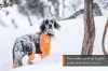 protector_snow_setting_4