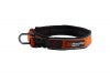 roam_collar_1