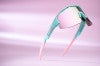 52104-39_matrix-bliz-sunglasses_studio_matt-green_sportsglasses_detail1-small
