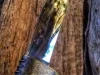 Marttiini Deluxe Skinner Knife-2
