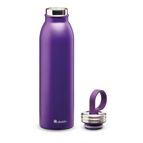 web_lifestyle-aladdin-chilled-thermavac_-colour-stainless-steel-water-bottle-0.55l-violet-purple-10-09425-003-exploded