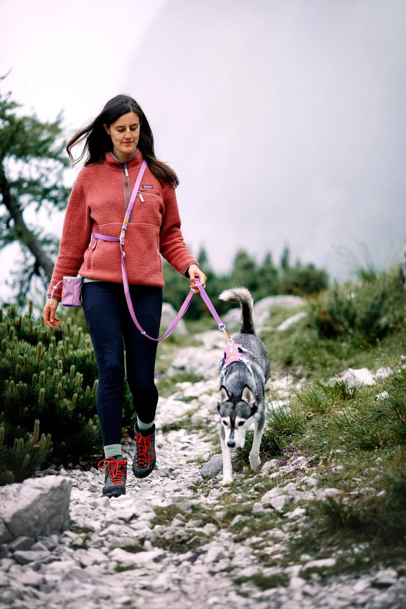 woollywolf_colorblock_multi-use_leash_mauvemix_02