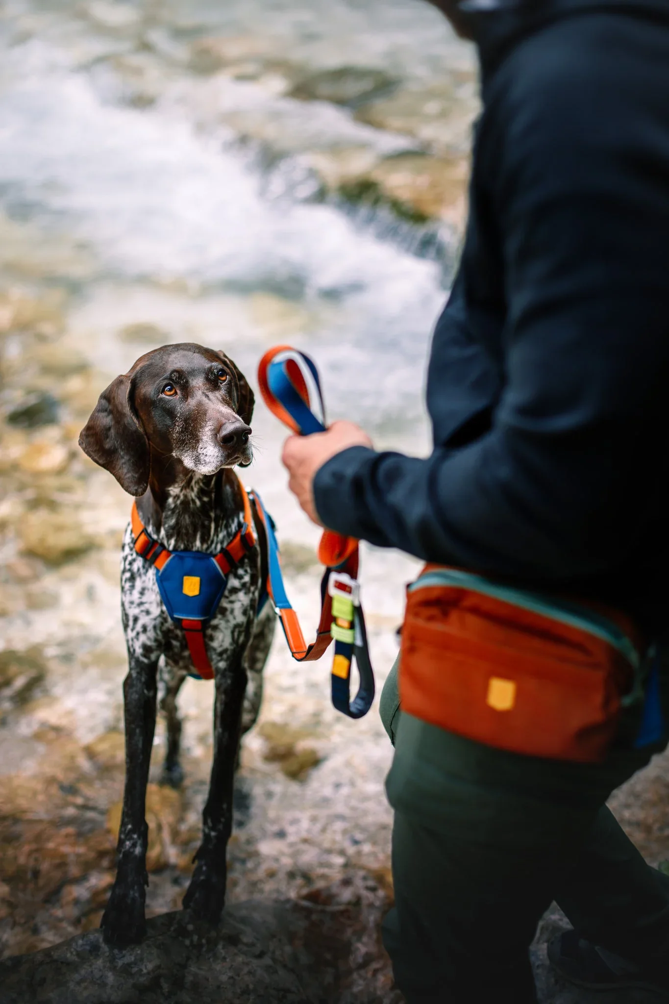 woollywolf_colorblock_multi-use_leash_terracottamix_02