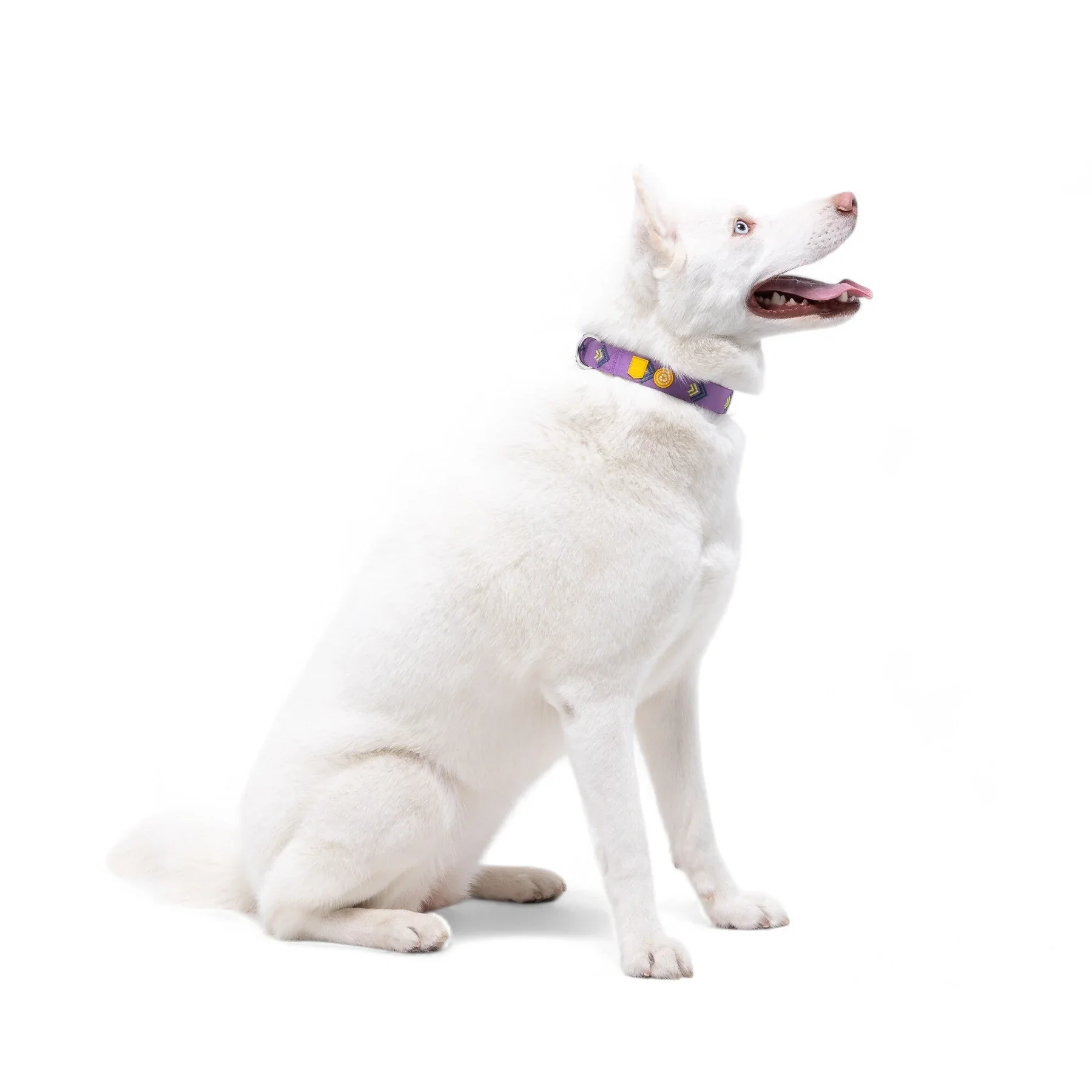 woollywolf_northern_lights_collar_02