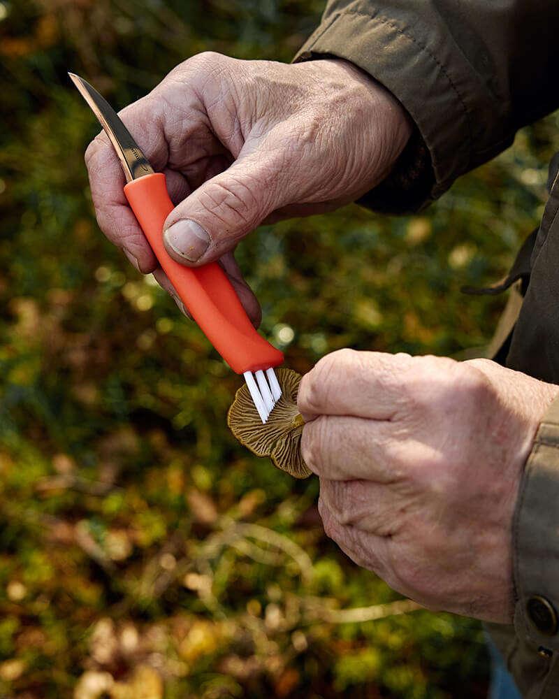 Mushroom_Knife_Ruska_mood4_ml