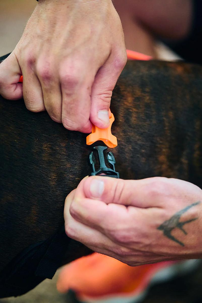 nonstopdogwear_rush_blkorange_03 nonstopdogwear_rush_blkorange_03